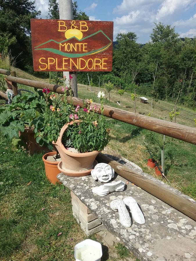 B&B Monte Splendore Пиетралунга Екстериор снимка