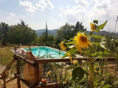 B&B Monte Splendore Пиетралунга Екстериор снимка